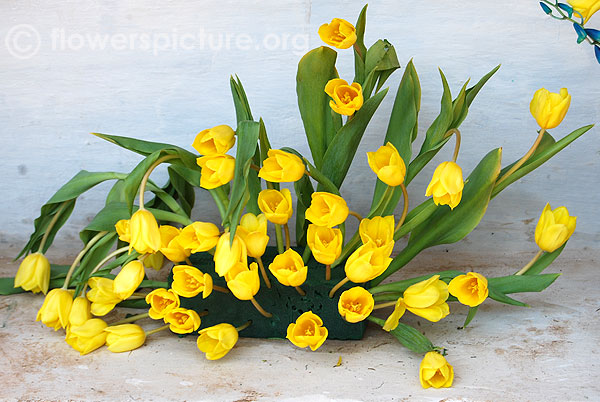 Yellow tulip bouquet