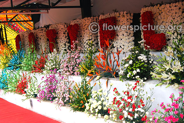 Dianthus lily gladiolus flower arrangements