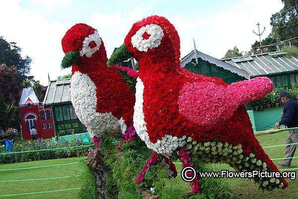 Floral bird