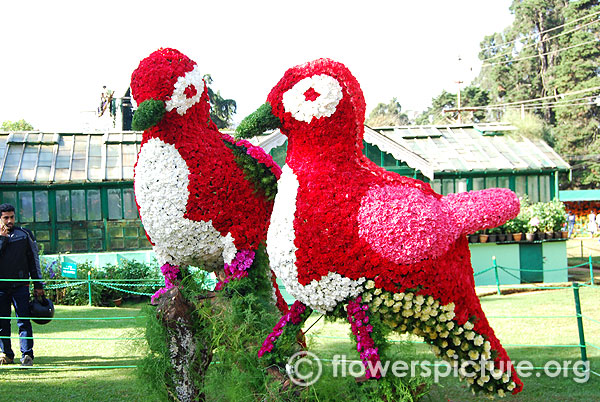 Flower bird