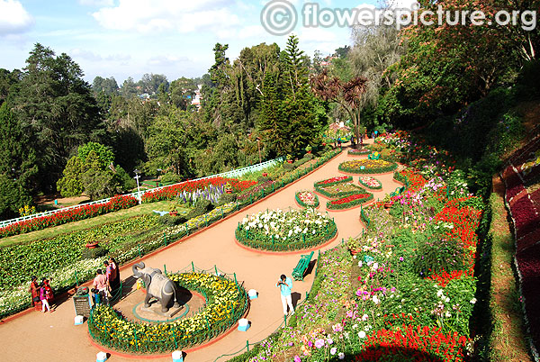 Government botanical gardens ooty terrace view