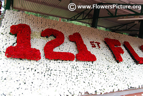 121 st ooty flower show