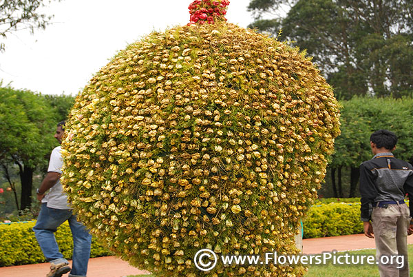 Floral mango