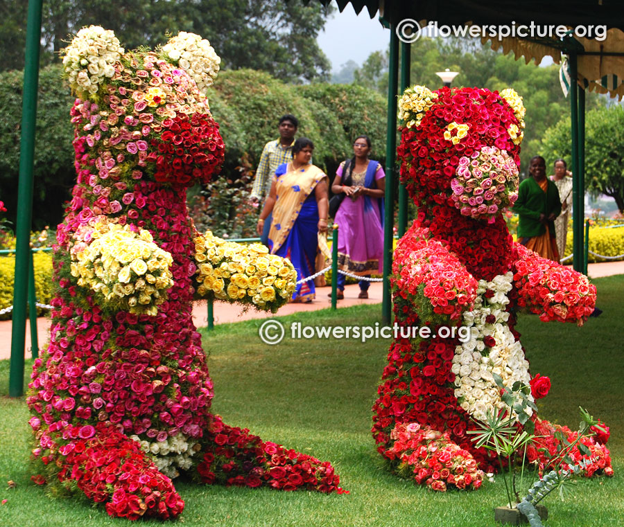 Floral bear ooty rose garden flower shows