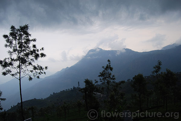 Artistic view of ooty at 6pm