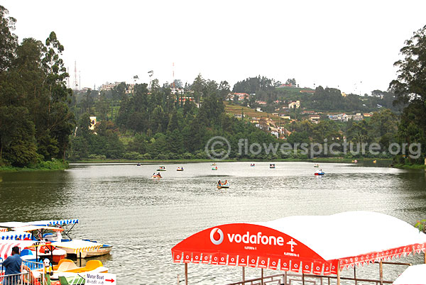 Ooty lake