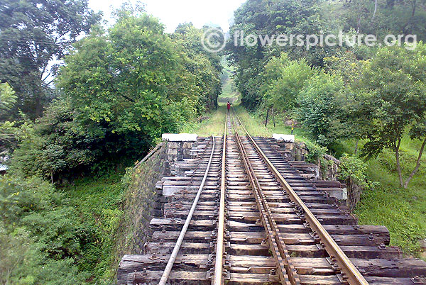 Railway bridge in ooty