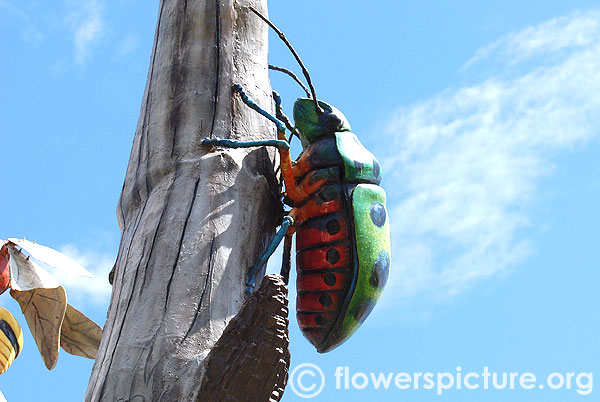 Beetle on the tree