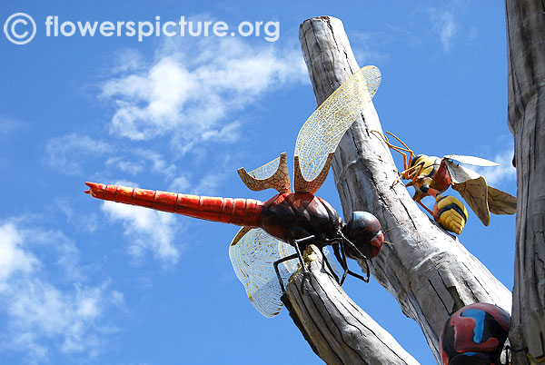 Dragonfly on the tree