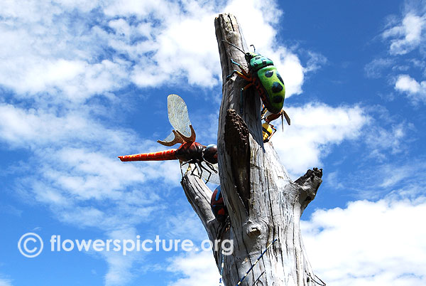 Grasshopper climbs on the tree