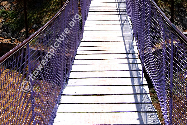 Hanging bridge in trichy butterfly park