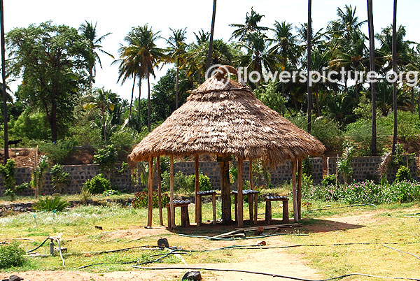 Hut in trichy butterfly park