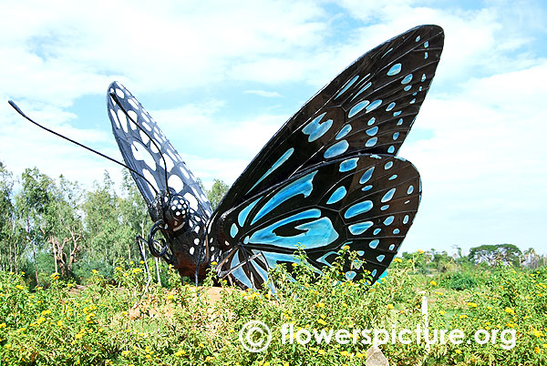 Ideopsis vulgaris macrina statue