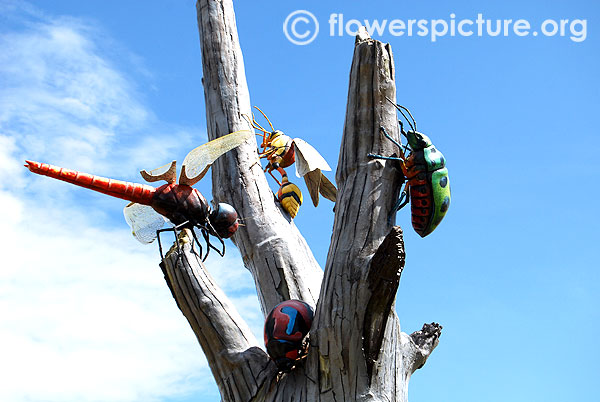 Insects and tree