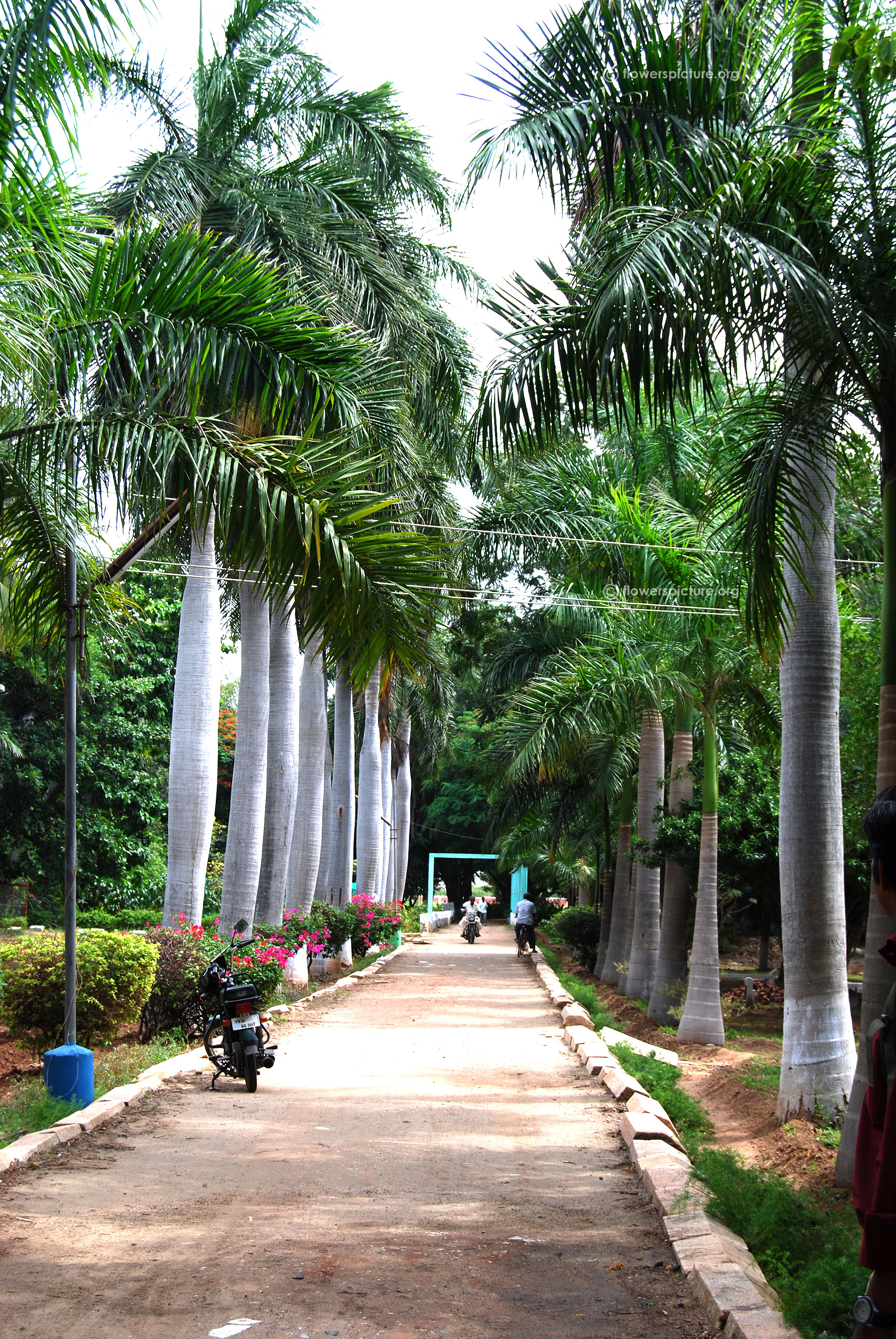 tamil nadu agricultural university botanical garden coimbatore