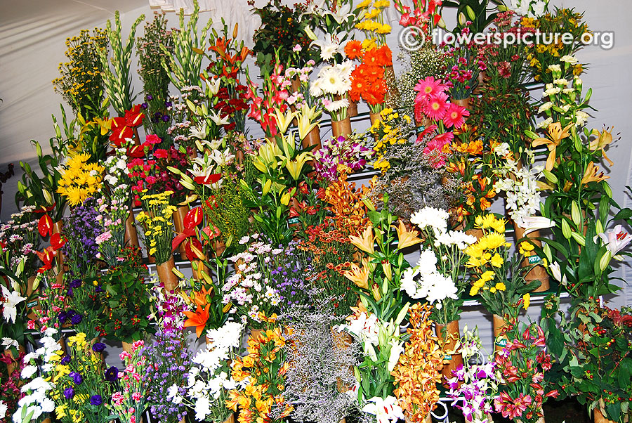 Bunch of flowers on flower vase