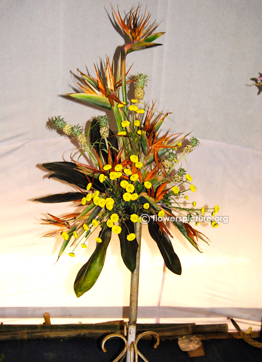 Pine apple bird of paradise flower vase